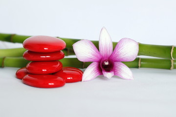 galets rouge disposés en mode de vie zen avec une orchidée bicolore sur le coté droit des bambou posé derriere le tout sur fond blanc