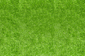 Fototapeta na wymiar green grass texture background