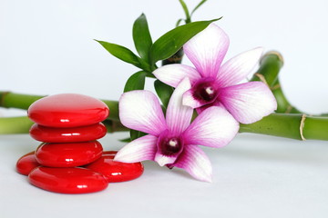 Obraz na płótnie Canvas galets rouge disposés en mode de vie zen avec deux orchidées bicolore sur le coté droit des bambou torsadé posé à l'arrière le tout sur fond blanc