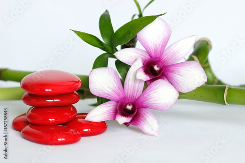 Galets Rouge Disposés En Mode De Vie Zen Avec Deux Orchidées