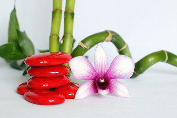 galets rouge disposés en mode de vie zen avec deux orchidées bicolore sur le coté droit des bambou torsadé posé à l'arrière le tout sur fond blanc
