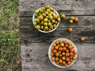 Bowl of cherry tomatoes