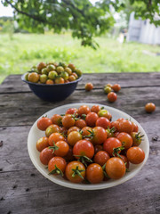 Bowl of cherry tomatoes
