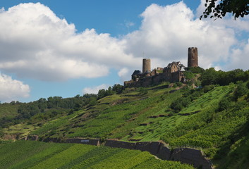 Fototapeta na wymiar Burg Thurant an der Mosel