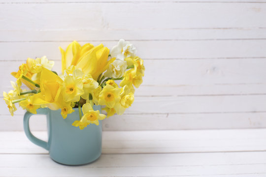 Bright yellow spring daffodils flowers in cup