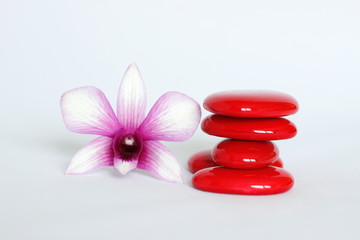 Fototapeta na wymiar galets rouge disposés en mode de vie zen avec une orchidée sur le coté gauche sur fond blanc
