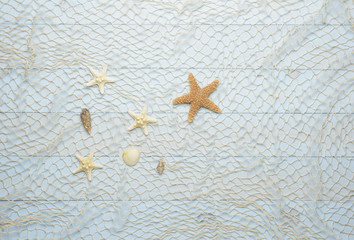 Fototapeta na wymiar Conchas, estrella de mar y caracolas marinos sobre fondo de madera azul con red de pescar