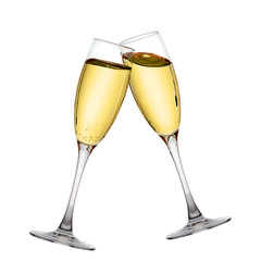 Two elegant champagne glasses