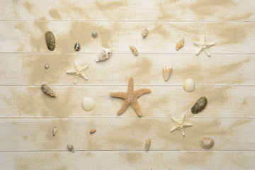 Conchas, estrellas de mar y caracolas marinas sobre fondo de madera blanca con arena