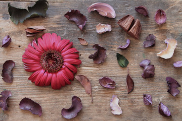 Colorful dry flowers on the wooden table