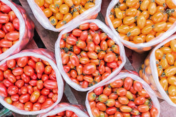 yellow and red tomato in plastic bag.top view