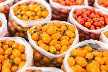 yellow and red tomato in plastic bag.top view