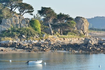 Paysage de bord de mer à Plougrescant en Bretagne