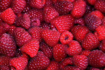 Fresh red raspberry background