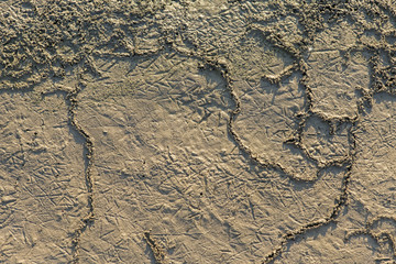 A lifeless land, craquelure