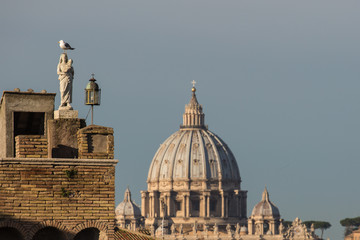 Rome, gull on the ancient statue in front of the duomo