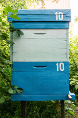 Blue beehive in the apiary