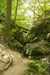 Drachenschlucht Thüringer Wald Eisenach 