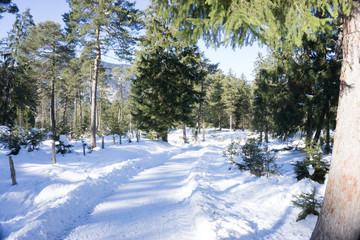 Winterlandschaft