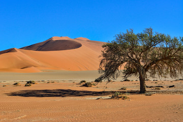 Fototapeta na wymiar Namibia namib desert Sossusvlei