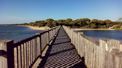 Obraz premium Puente de madera