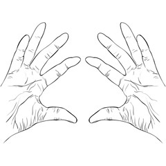 ink sketch two hands holding something vector