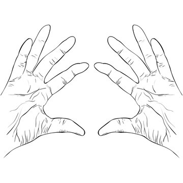 ink sketch two hands holding something vector
