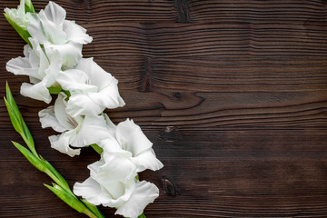 Feminine desk concept. Flower on dark wooden background top view copyspace