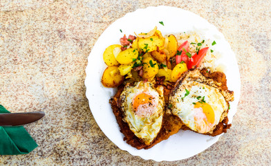 A delicious meal Hamburger Schnitzel.