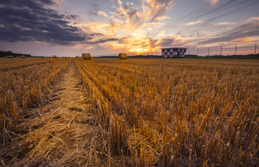Fototapeta premium Strohrollen am Rollfeld bei Sonnenuntergang