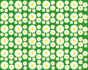 Chamomile on a green background