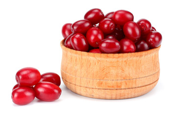dogwood berries in wooden bowl isolated on white background