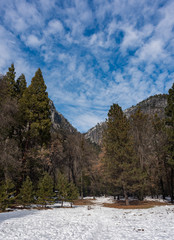 Obraz na płótnie Canvas The Clouds of Yosemite Valley