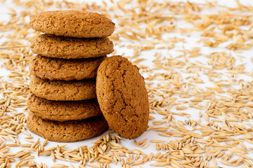 Oatmeal cookies among wheat  and oat grains on a white background