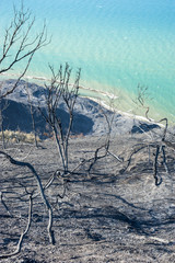 Distruzione dell'ambiente al Parco San Bartolo (PU)