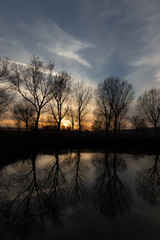 Some trees silhouettes reflecting on water, with sunset in the background
