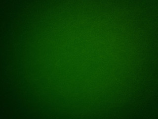 Fototapeta premium Abstract Green Background 