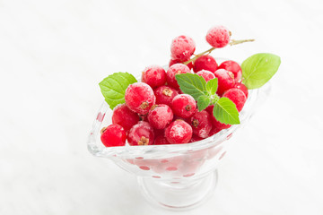 Frozen red currant with mint