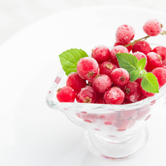 Frozen red currant with mint