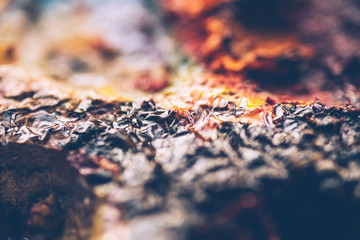 Surface of dried paint