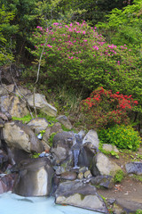 Fototapeta na wymiar Garden near hot spring in Kirishima japan.