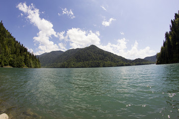 Nature in the mountains of Abkhazia