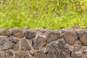 Rocky Volcano Wall and Plants