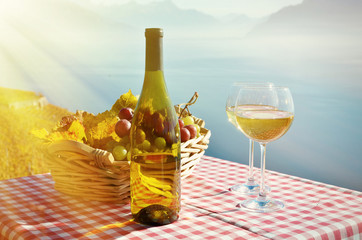 Wine and grapes. Lavaux region. Geneva lake, Switzerland