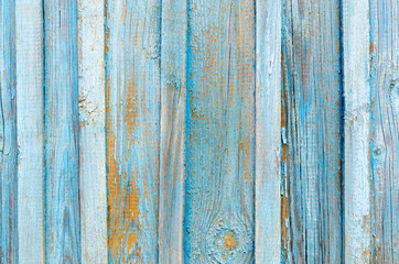Texture of old wooden fence with cracked blue paint