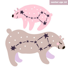 ursa major and ursa minor