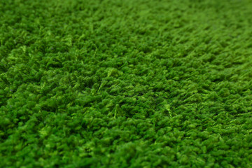 Green fluffy carpet as background, closeup