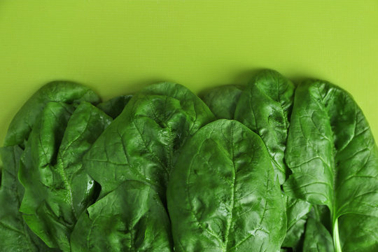 Fresh leaves of spinach on green background