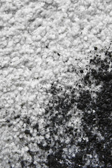 Fototapeta na wymiar Scattered soil on white carpet, close up