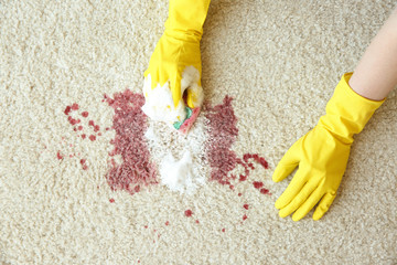 Hands in rubber gloves cleaning carpet with sponge and detergent